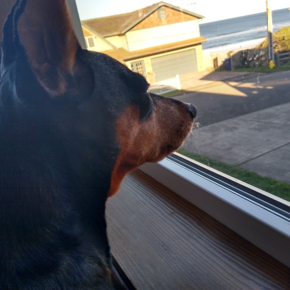 Welcome to my closet!! 😁🤗